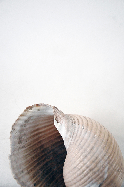 Maura Banfo – Gita al faro